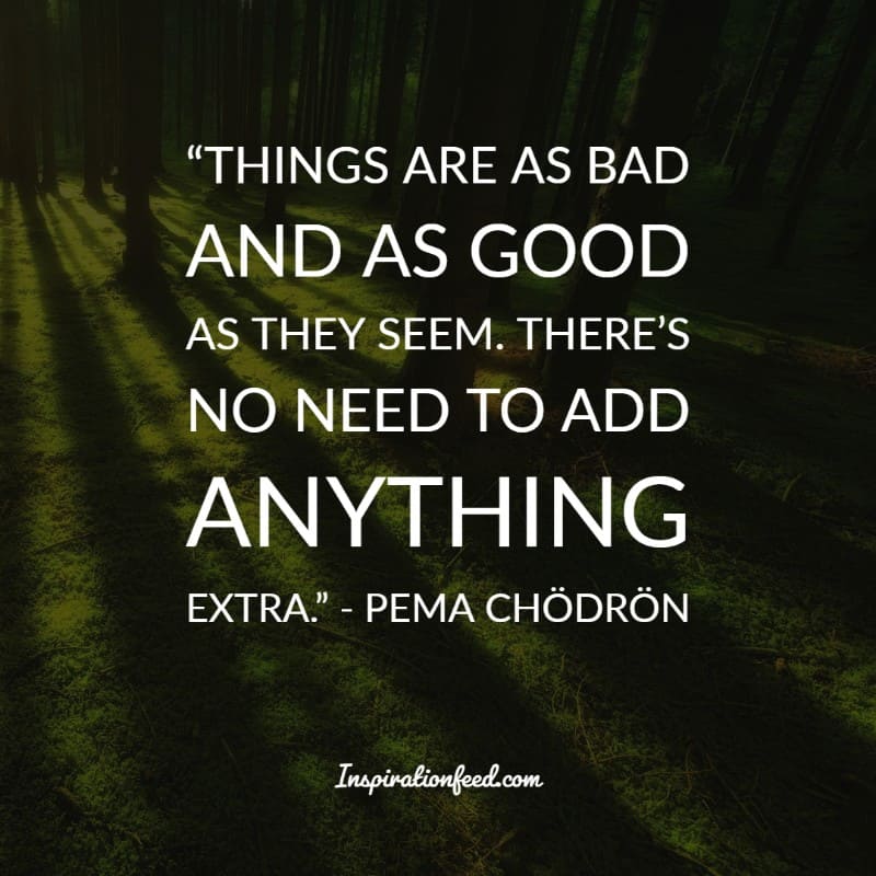 Pema Chodron Quotes