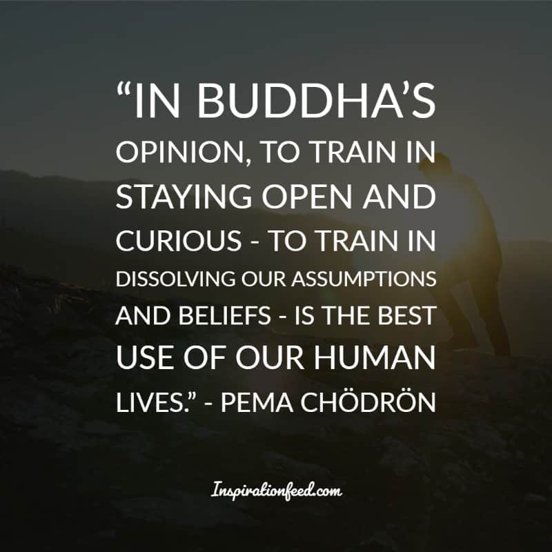 Pema Chodron Quotes