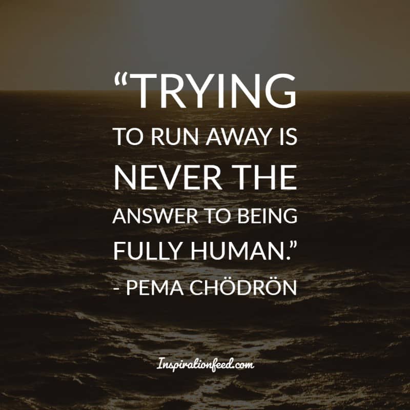 Pema Chodron Quotes