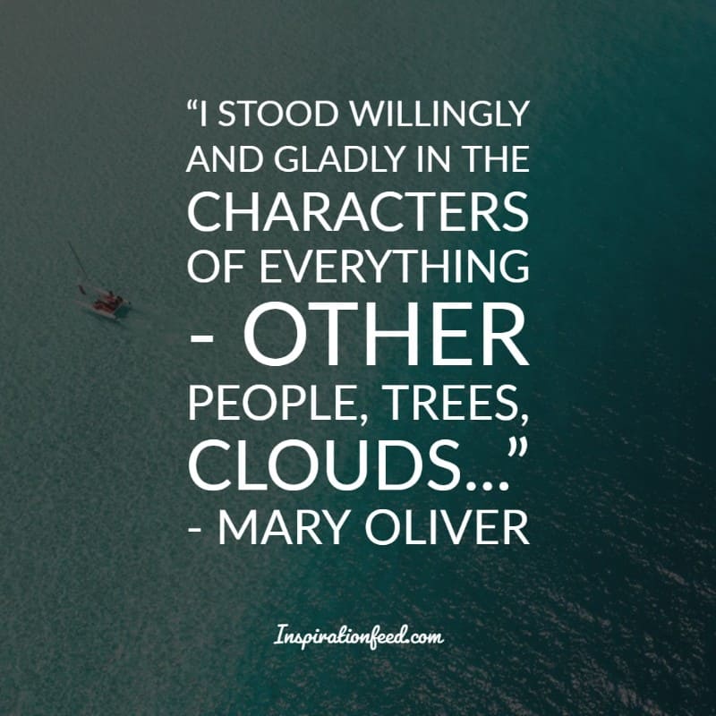 Mary Oliver Quotes