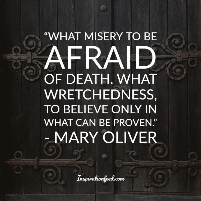 Mary Oliver Quotes