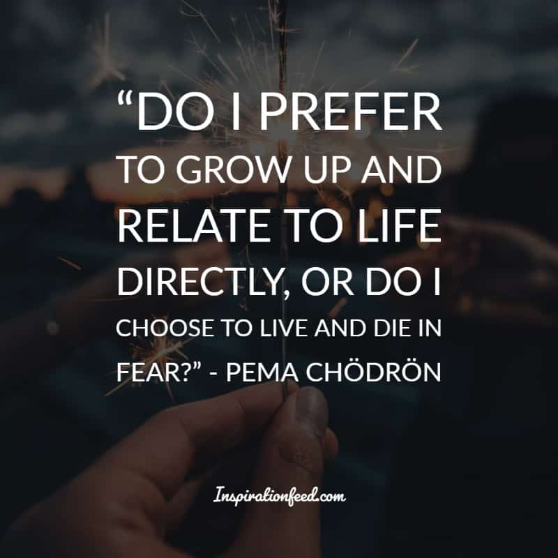 Pema Chodron Quotes