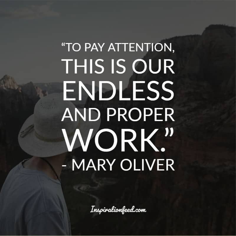 Mary Oliver Quotes