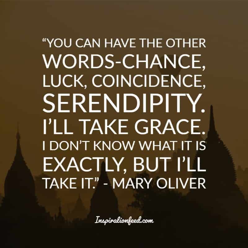 Mary Oliver Quotes