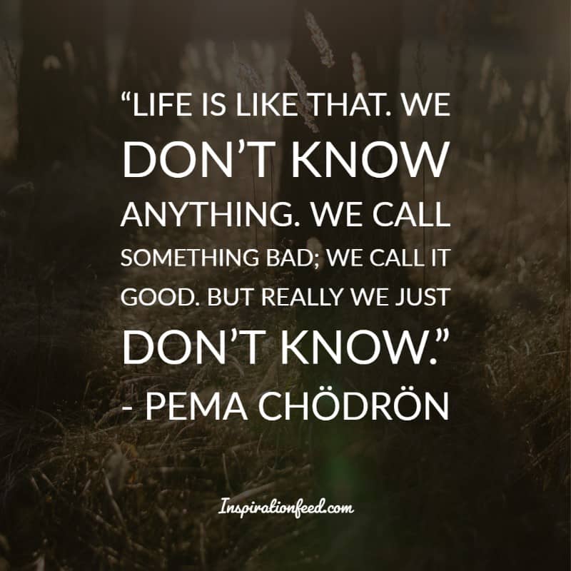 Pema Chodron Quotes