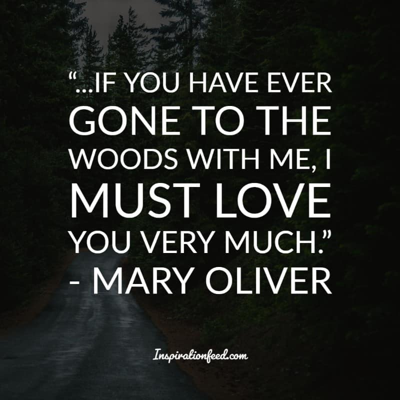 Mary Oliver Quotes