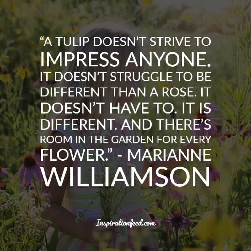 Marianne Williamson Quotes