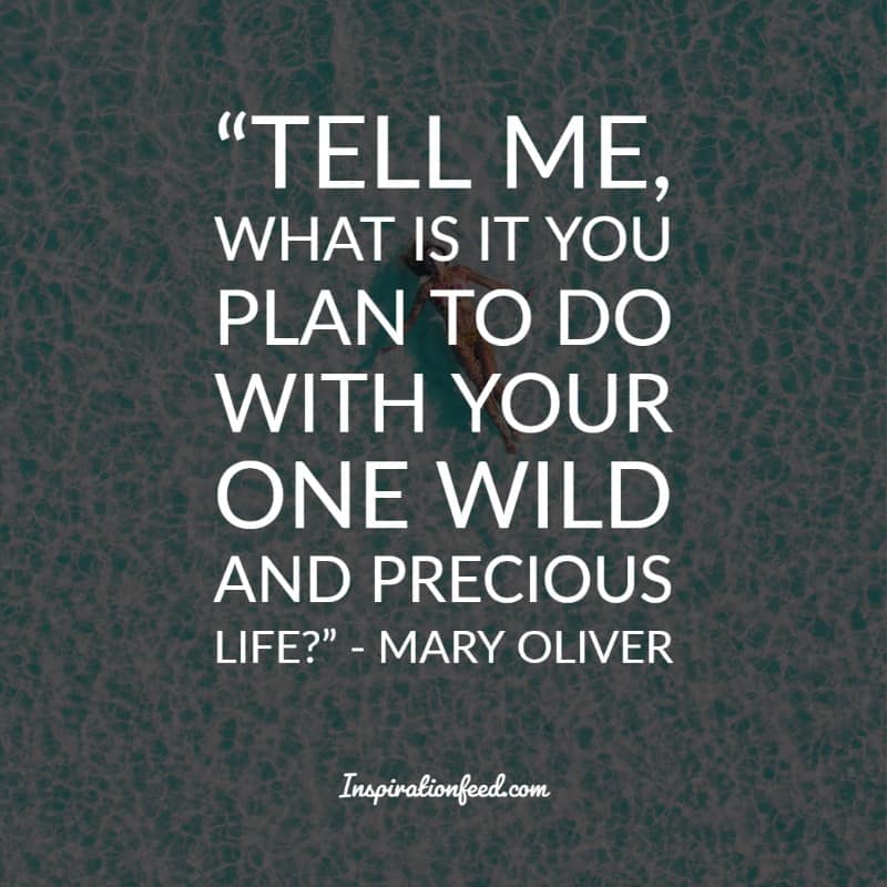 Mary Oliver Quotes