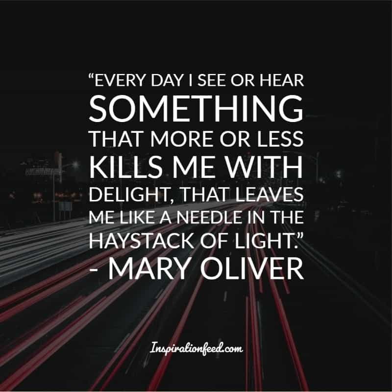 Mary Oliver Quotes