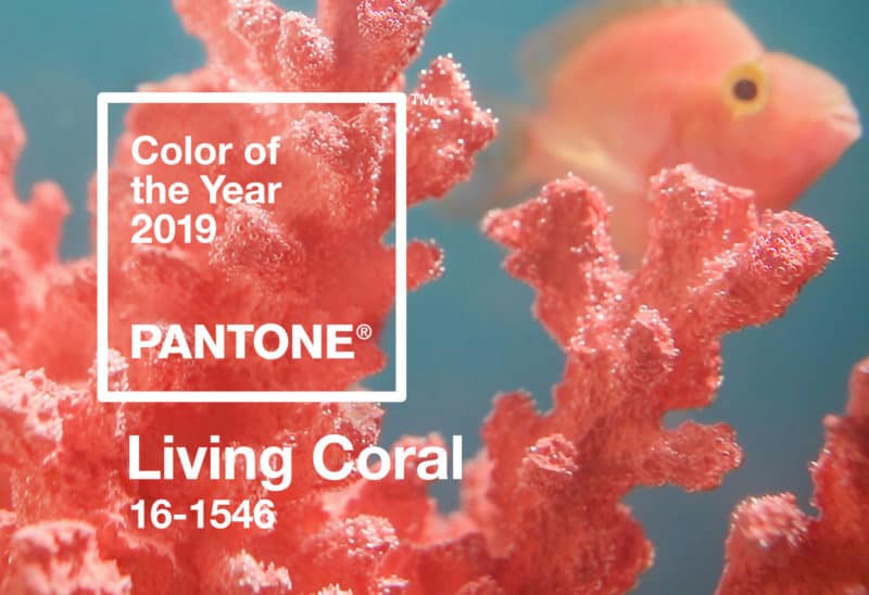 Pantone 2019 Color of the Year