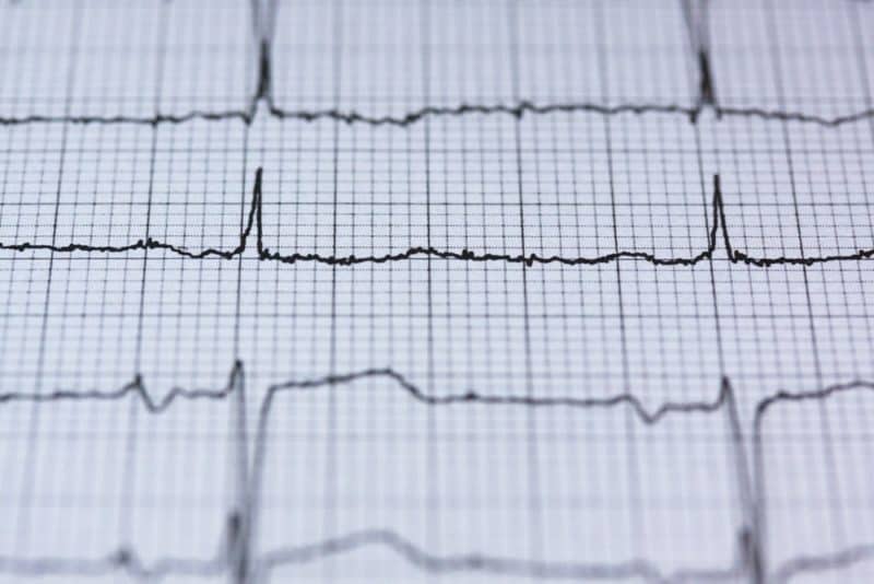 heart rate chart