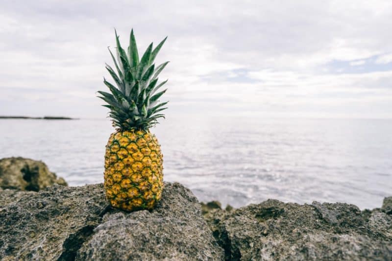 Pineapple Wallpapers