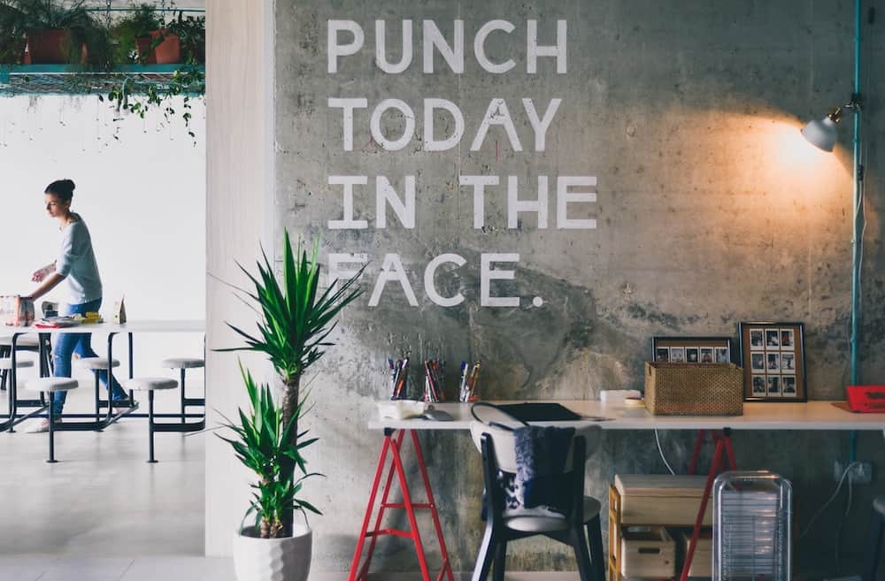 Punch today in the face written on a wall