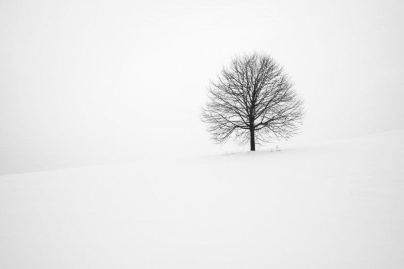 Winter Wallpapers