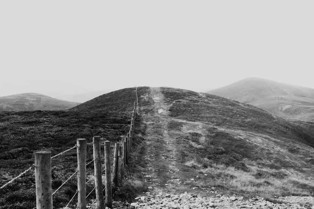 Wooden Fence in Black and White