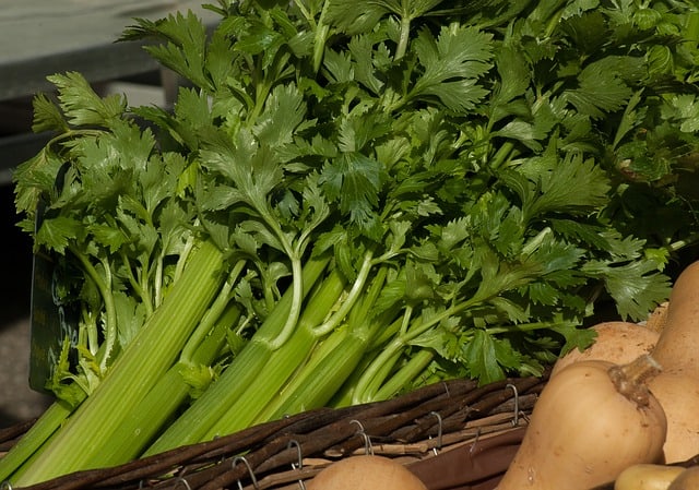 celery-stalks