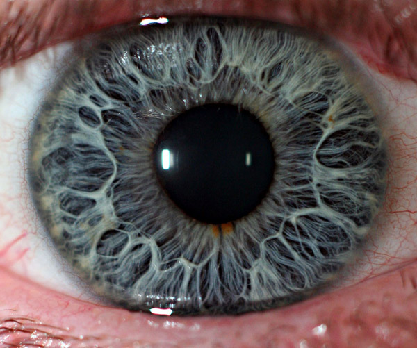 Human Eye 4 Inspirationfeed