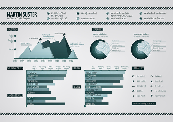 Infographic Resume