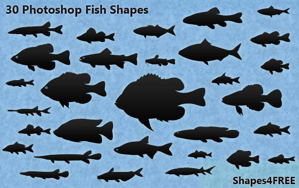 30-fish-shapes-lg1