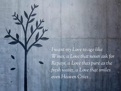 quotes-about-love-34