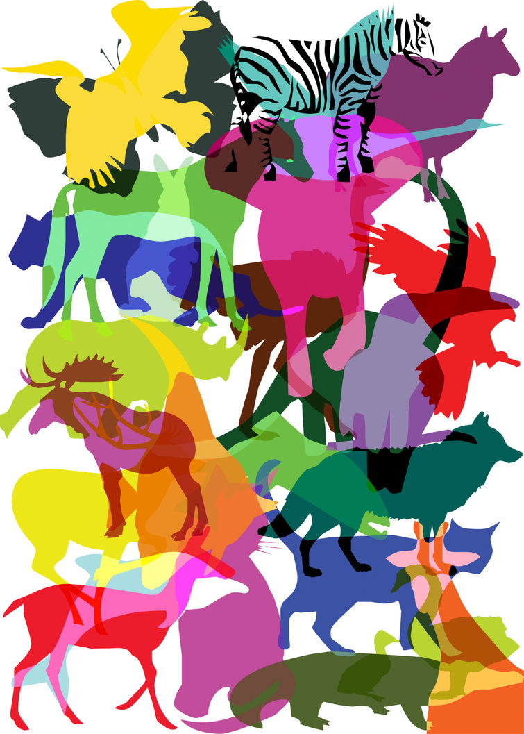 wild animal shapes