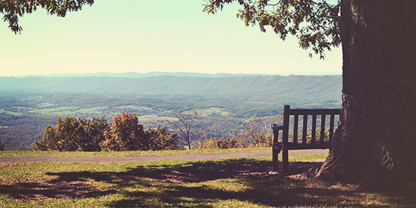 bench