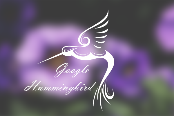 google-hummingbird