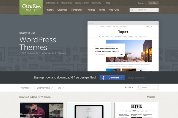 Popular WordPress Themes