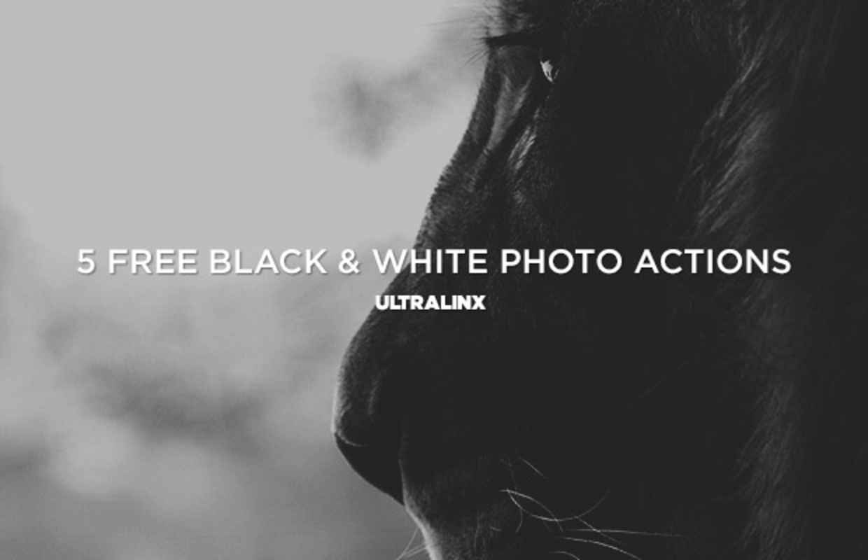 5 Free Black & White Photo Actions