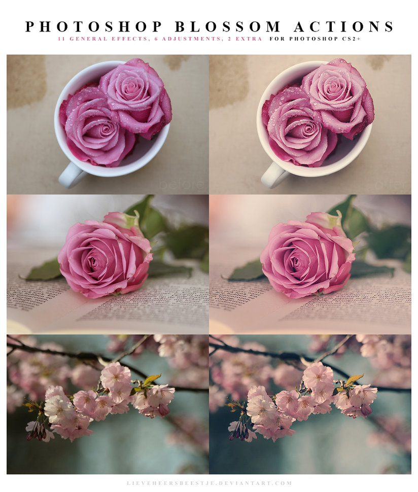 Photoshop Blossom Actions