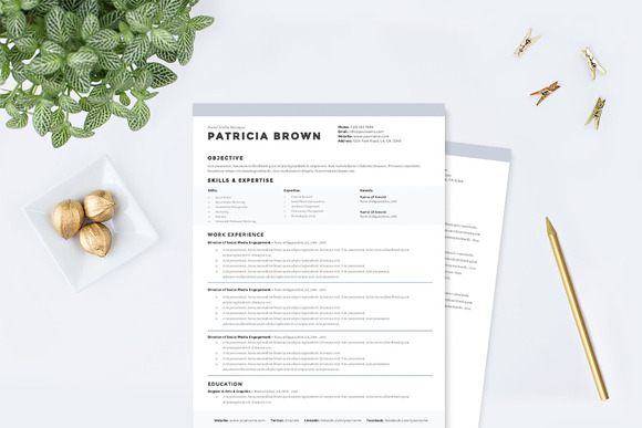 clean-resume-template