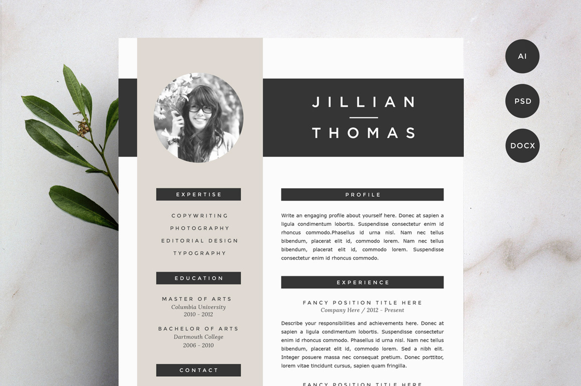 Where Can I Buy Resume Templates, Professional resume template for Mac