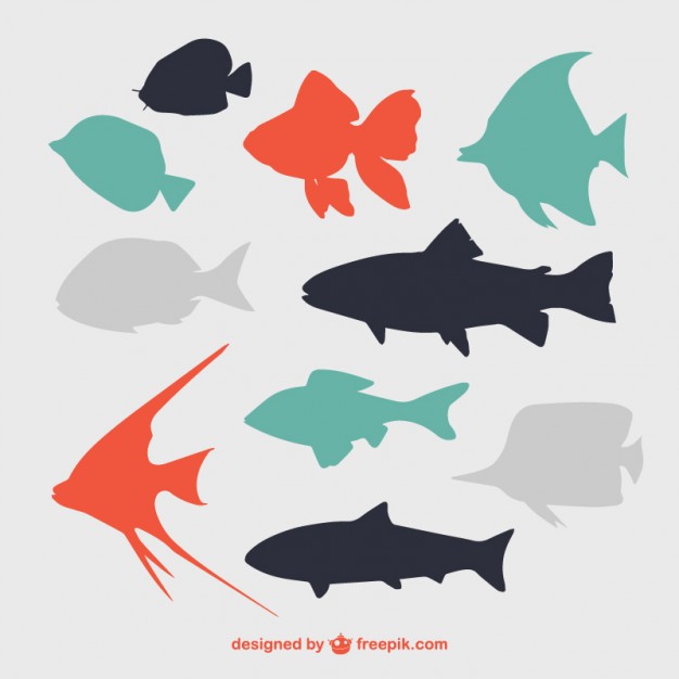 10 Flat Fish Silhouettes