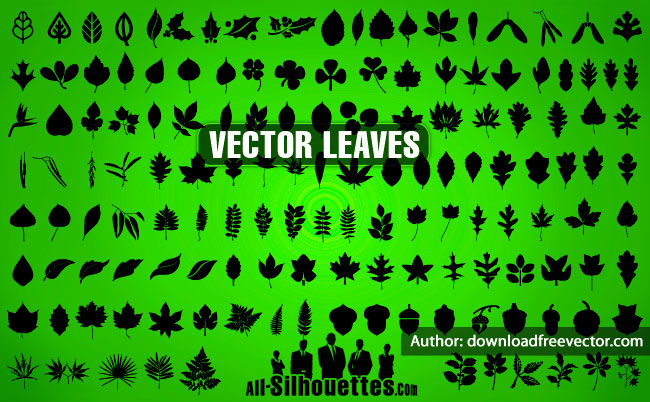 141 Vector Leaves