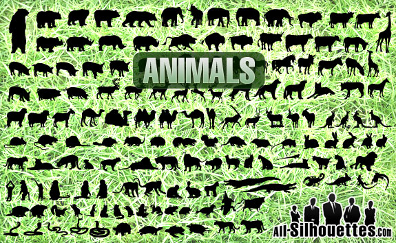 Free Vector Animals