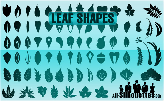 Leaf Shape Silhouettes