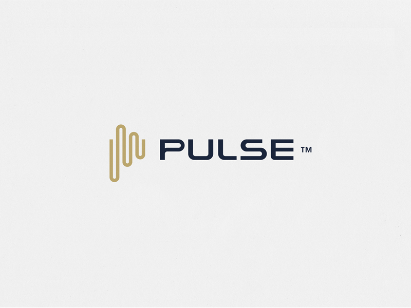 Pulse Logo by Radek Blaska