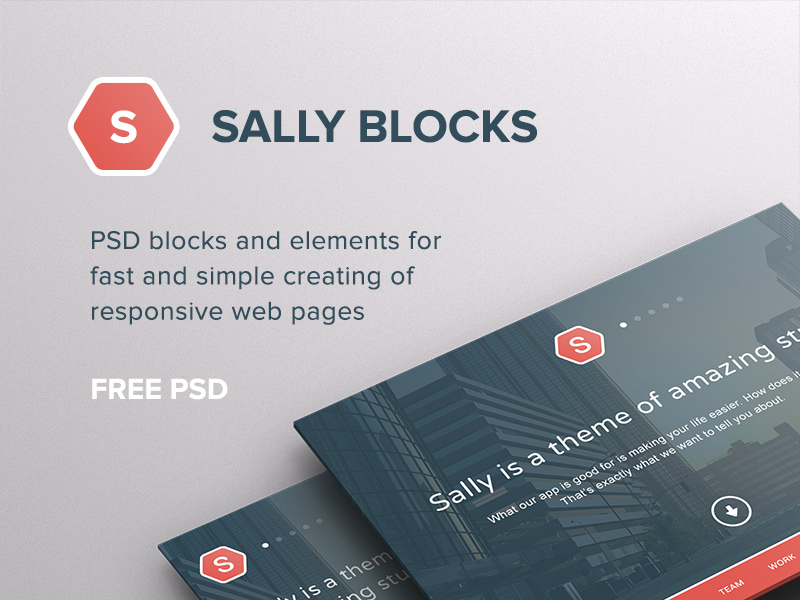 Sally Blocks UI by PixelBuddha