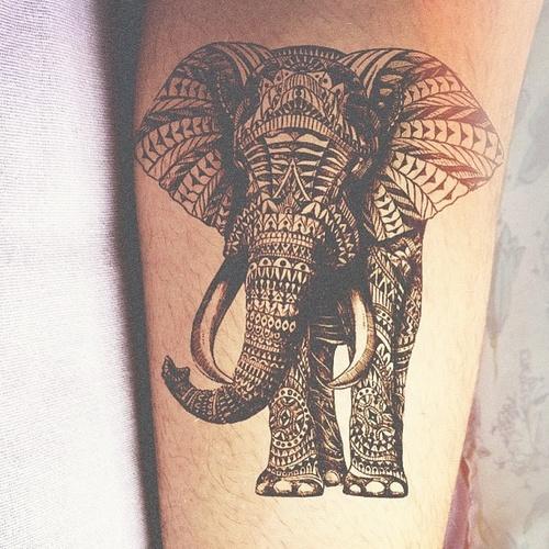 elephant