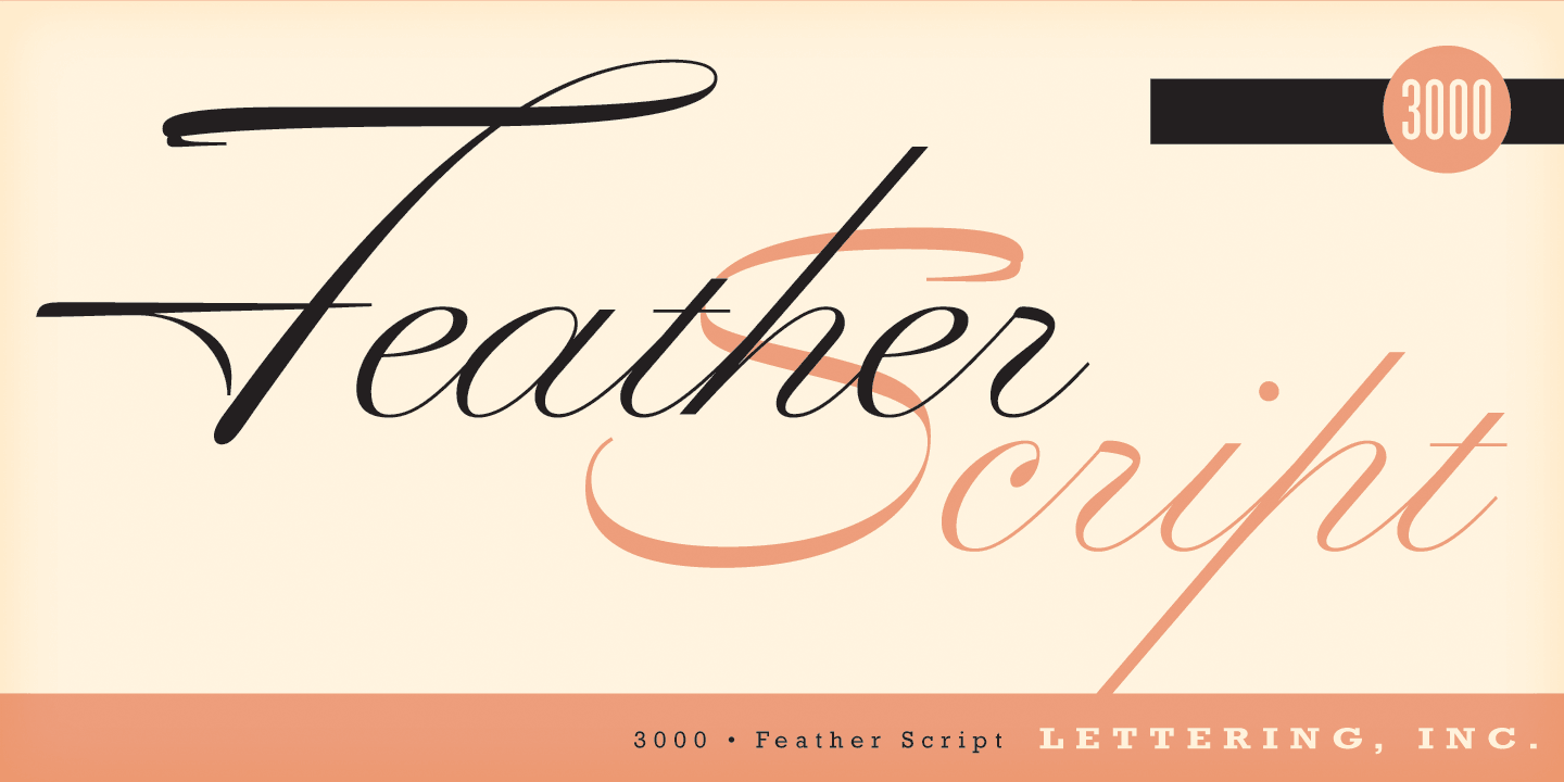 Feather Script by Lettering Inc