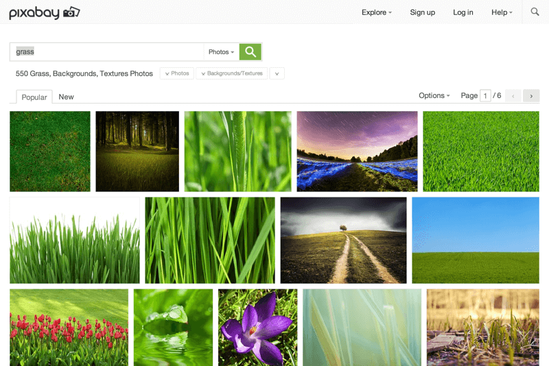 Grass, Backgrounds, Textures - Free photos on Pixabay (20151104)
