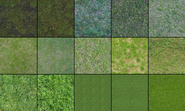 Grass Textures by Akinuri