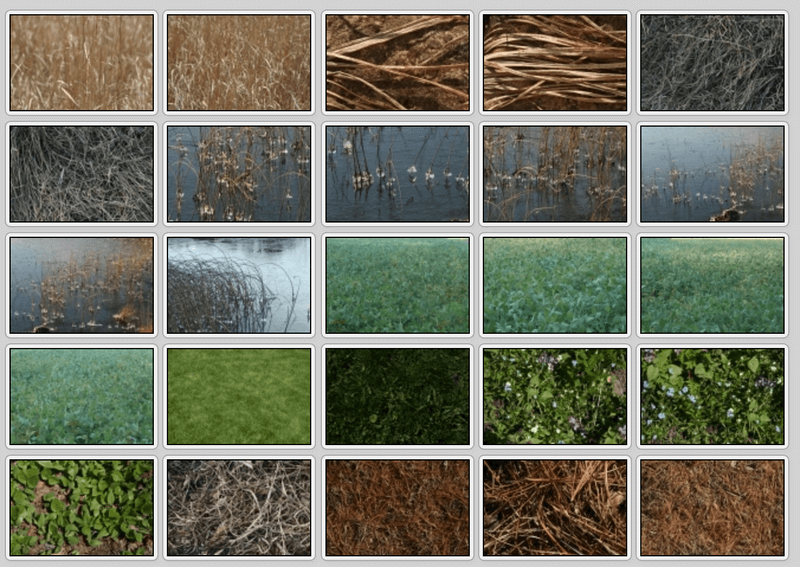 Wild green grass texture seamless 20654