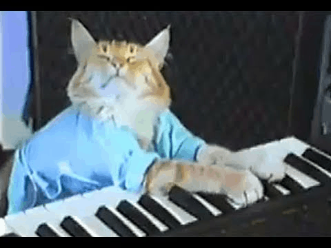 KeyboardCat