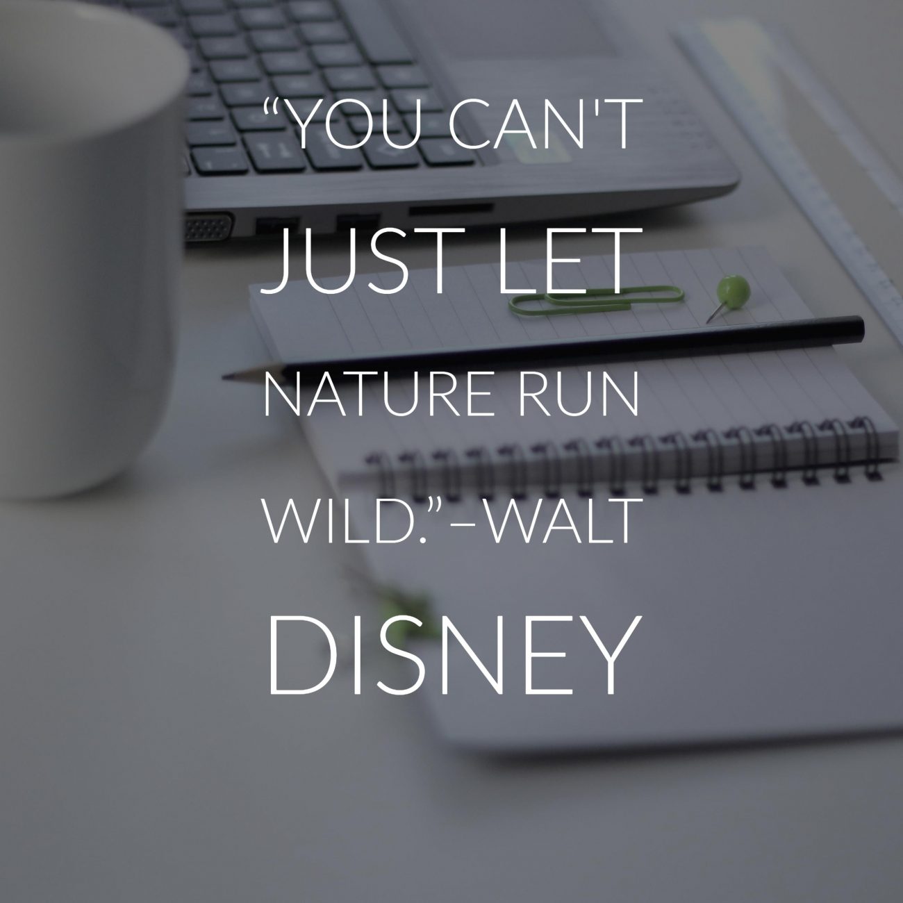 33 Inspiring Walt Disney Quotes | Inspirationfeed