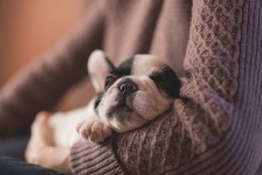 Sleep can increase your productivity