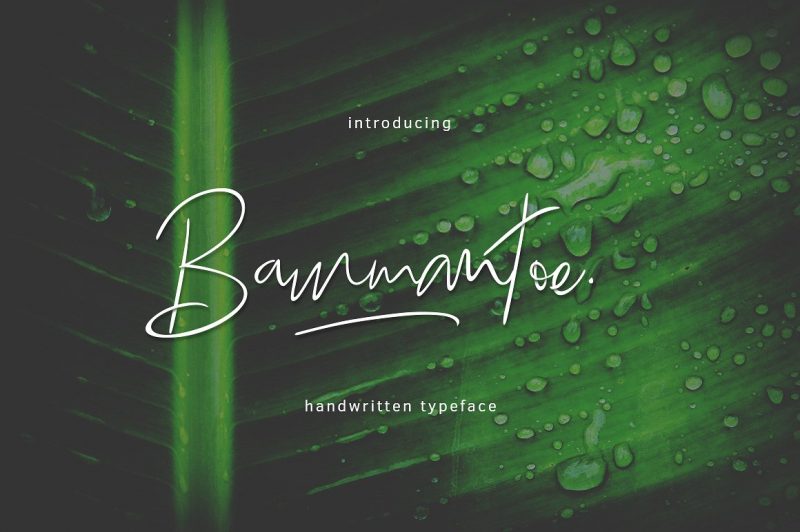  Bammantoe Typeface - Script Like Save Bammantoe Typeface - Script - 1 Bammantoe Typeface - Script - 2 Bammantoe Typeface - Script - 3 Bammantoe Typeface - Script - 4 Bammantoe Typeface - Script - 5 Bammantoe Typeface - Script - 6 Bammantoe Typeface - Script - 7 Bammantoe Typeface - Script - 8 Introducing: Bammantoe Typeface is a handwritten font.