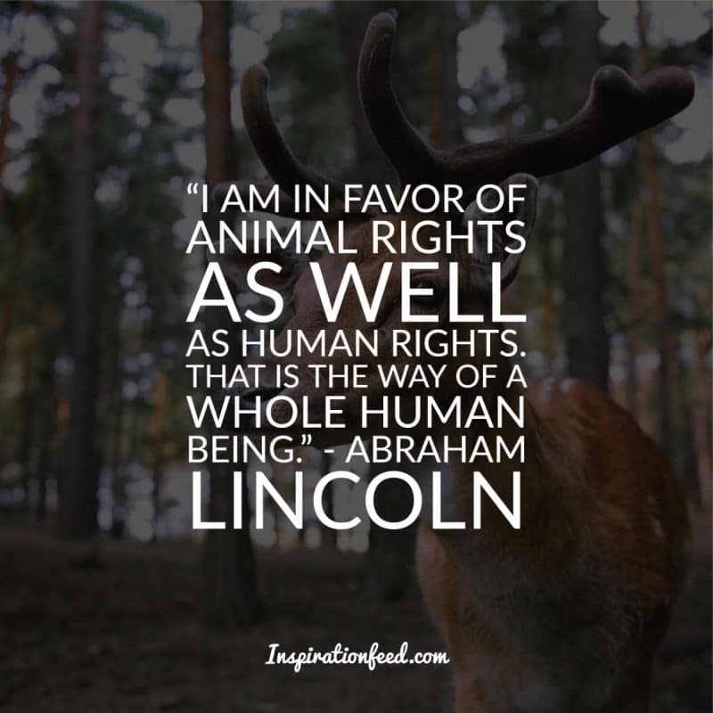 Abraham Lincoln Citat