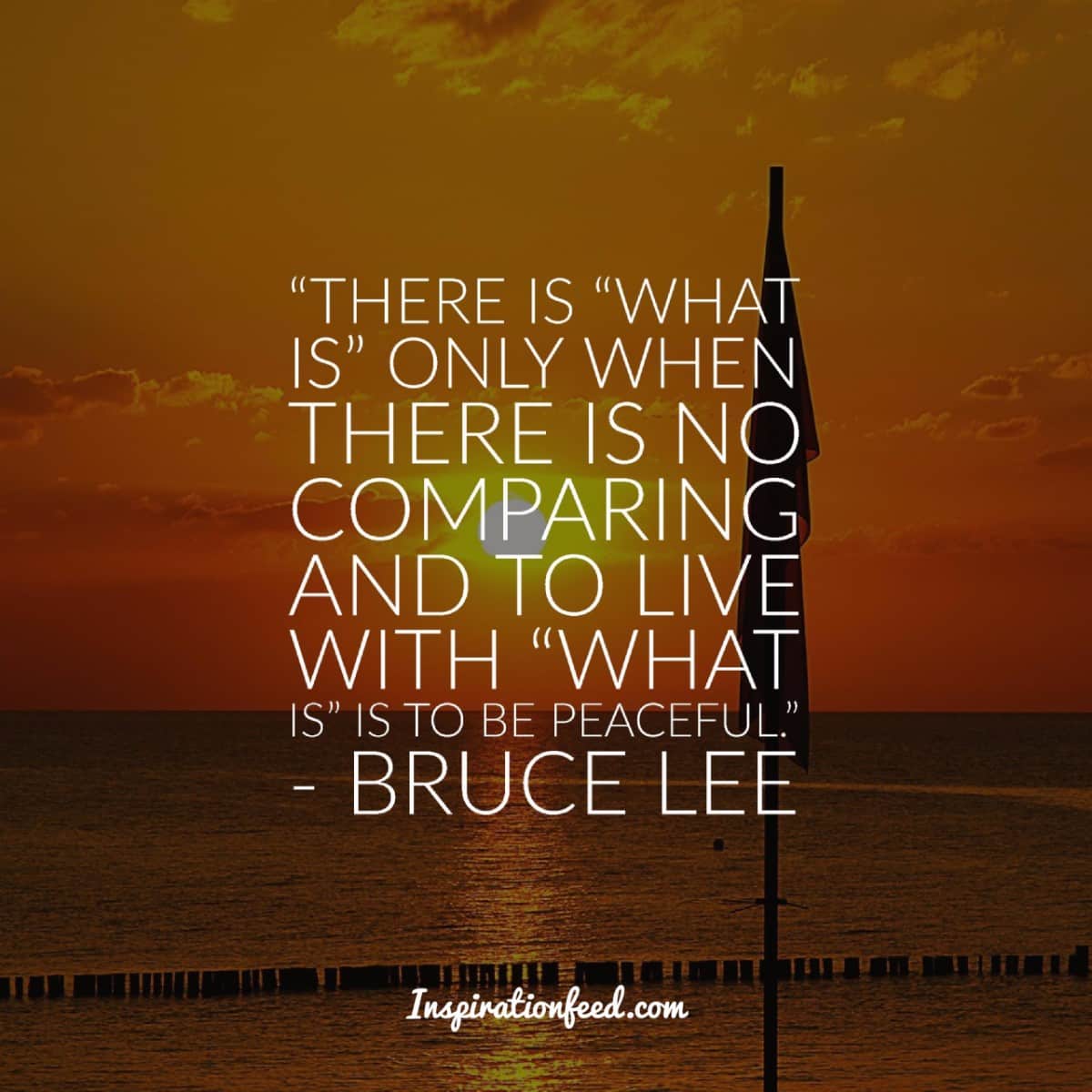 30 Bruce Lee Quotes for Self-Improvement - Inspirationfeed