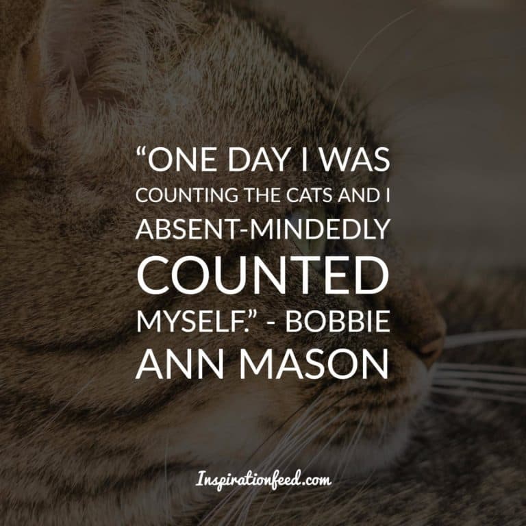 40 Precious Quotes About Cats That Will Brighten Your Day | Inspirationfeed